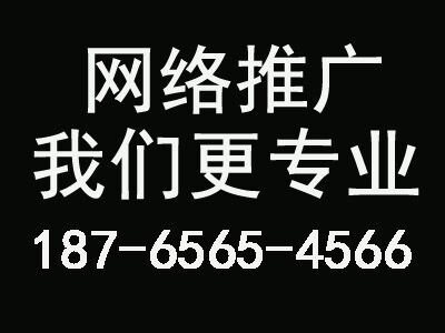 网站百度关键词seo优化排名实战方案技巧：分解目标用户组排名