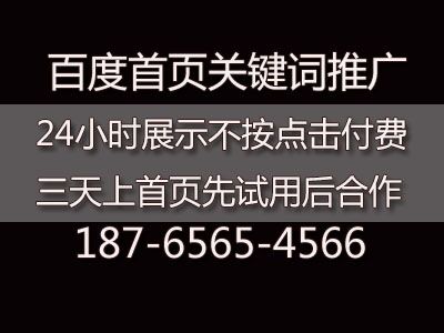 网站百度关键词seo优化排名 让企业营销走进千家万户