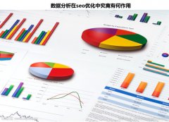 搜索引擎优化通过数据来自诊断网站优化细节