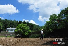 在秋收起义革命圣地湖南浏阳文家市镇岩前小学举行了一场特殊的爱心捐赠仪式