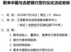 6家银行撑腰？传蔚来中国将获得银行100亿授信额度