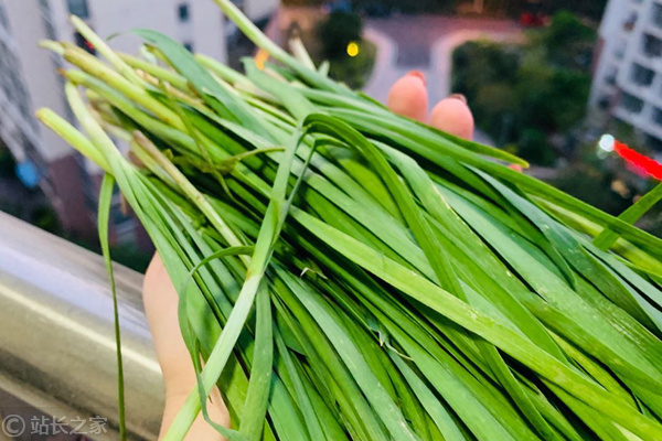 一个男人要踩过多少坑，才能成为成熟的韭菜？