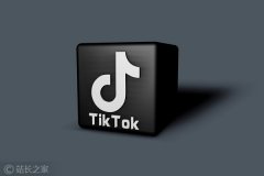 “孤品”TikTok：中国互联网出海头牌如何炼成的？