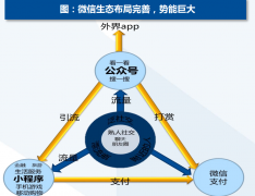 2018年社交电商行业深度研究报告-雷倩影