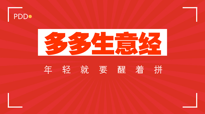 【拼多多生意经】放弃国企铁饭碗，70个复旦学生成为他的回头客