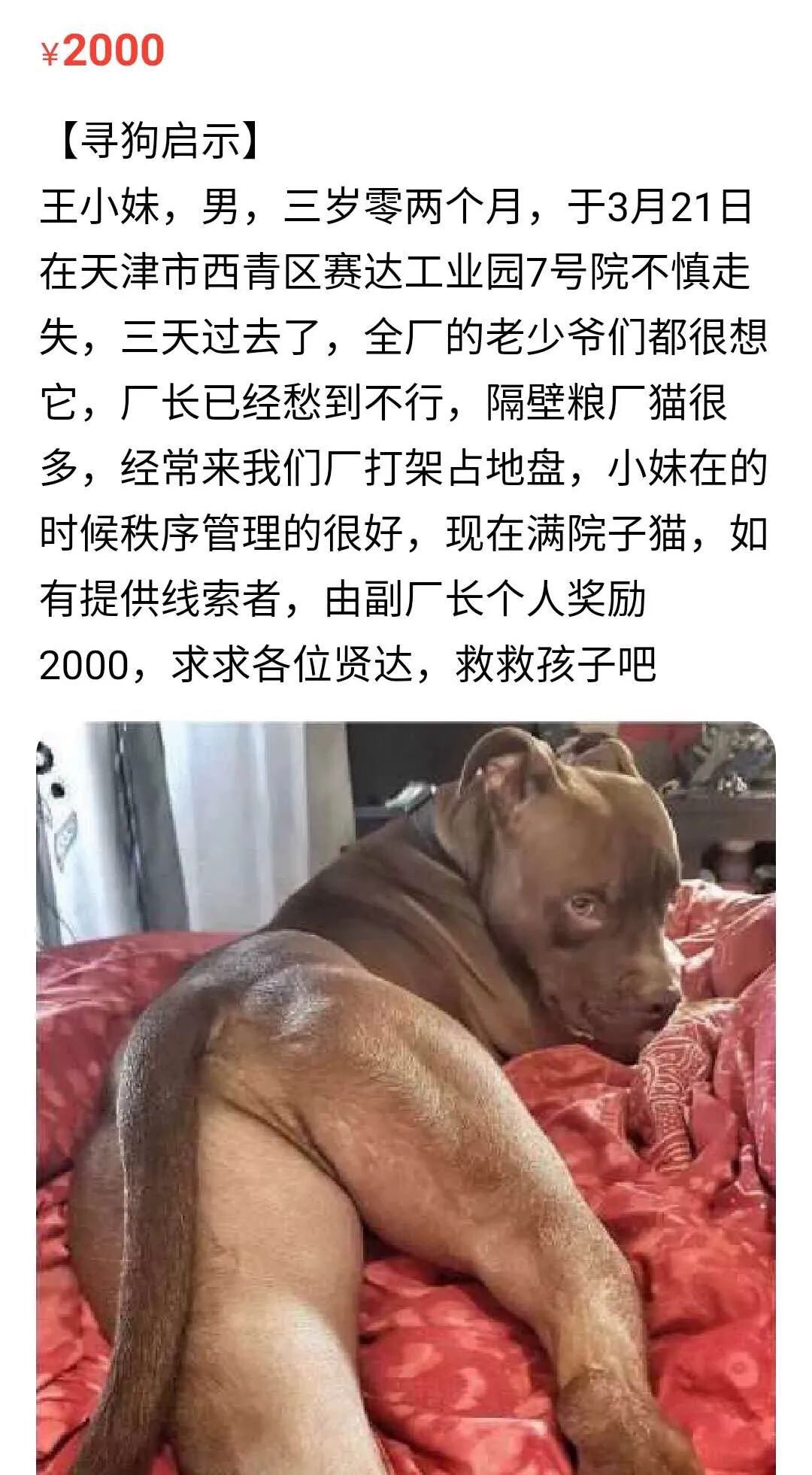 有多少铲屎官的家在闲鱼上被强拆？