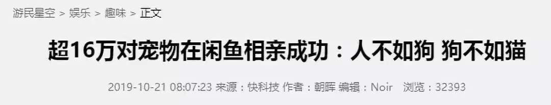 互联网上的宠物相亲，正在成为中产们的电子焦虑