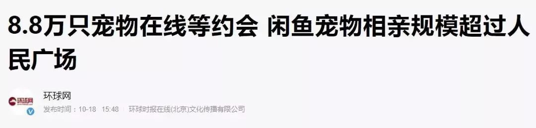 互联网上的宠物相亲，正在成为中产们的电子焦虑