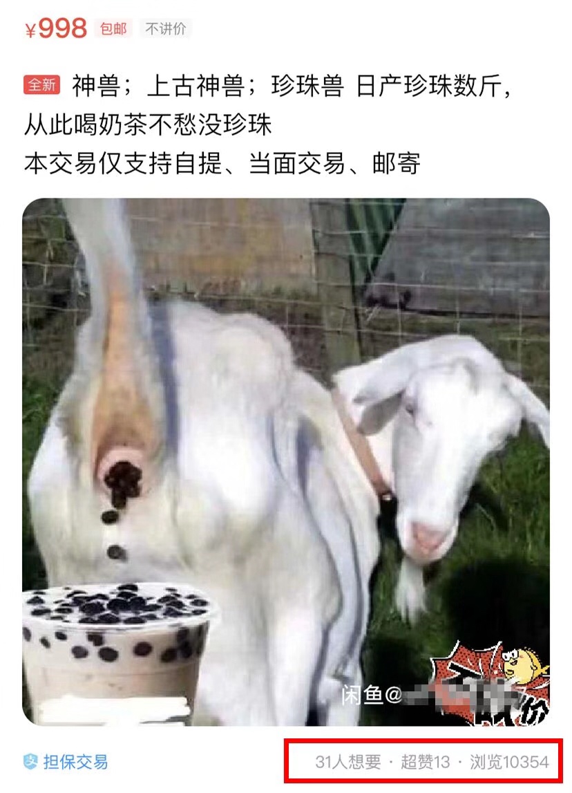 在闲鱼上卖神兽的都是些什么奇葩？