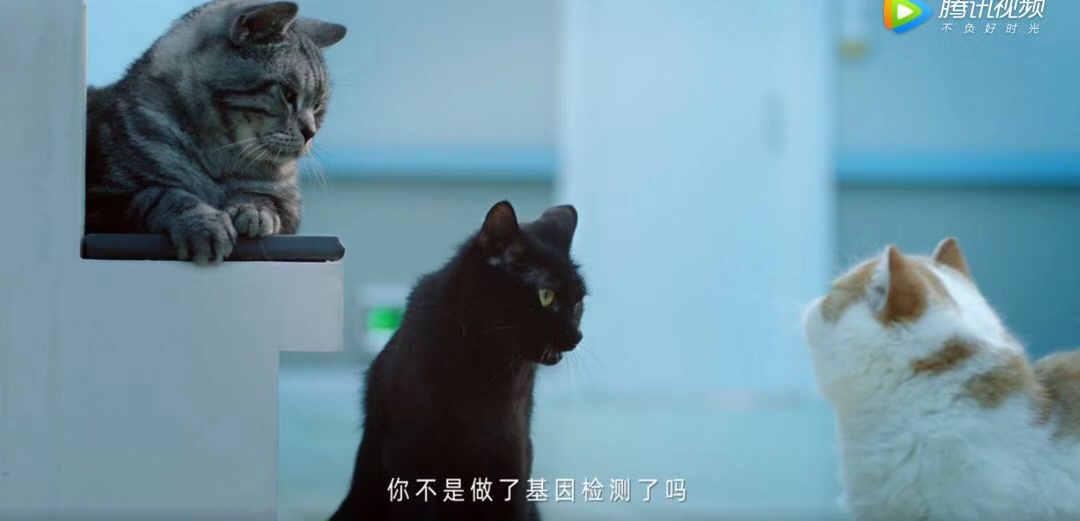 天猫新势界：这是一个关于“老王”的故事