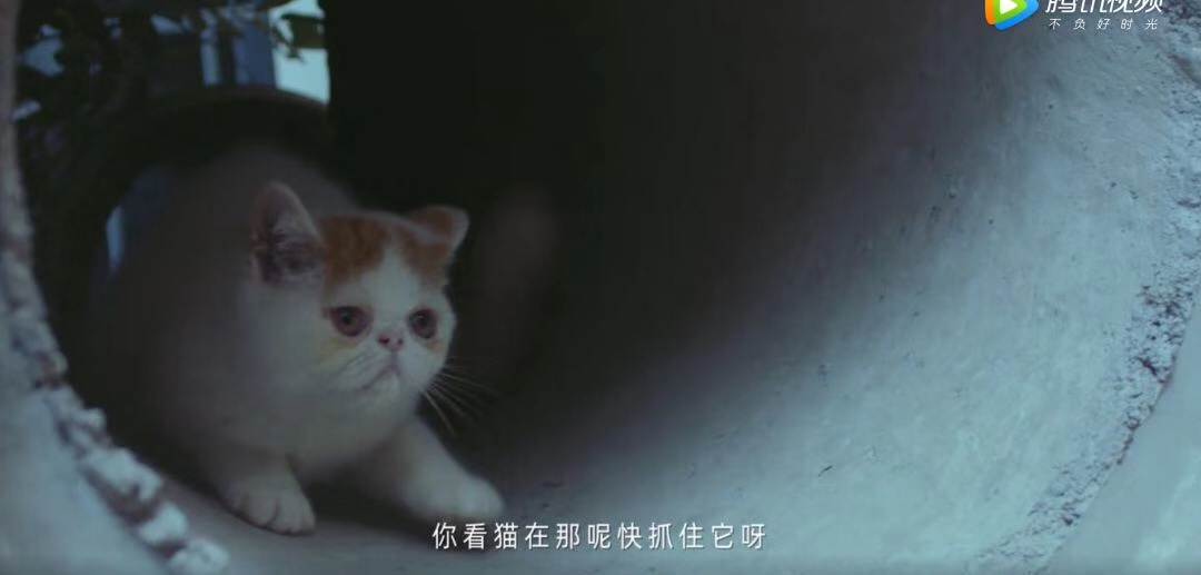 天猫新势界：这是一个关于“老王”的故事