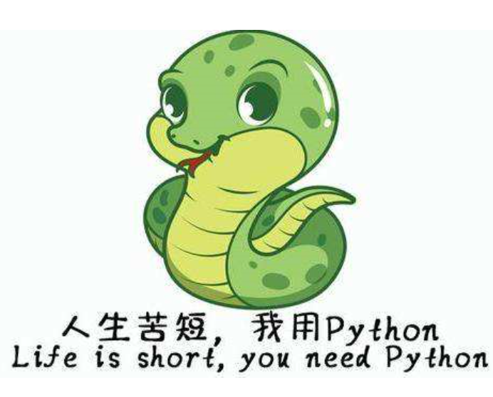 超级适合新手学习的python教程，入门其实不难？