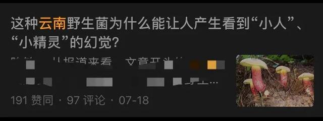 传闻中能让你看见七彩小人的“神奇蘑菇”，其实可以治疗抑郁症