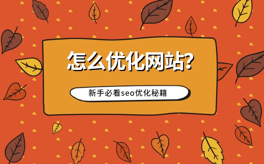 怎么优化网站？新手必看seo优化秘籍