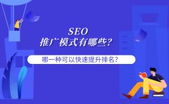 SEO的推广模式有哪些？哪一种可以快速提升关键词排名？