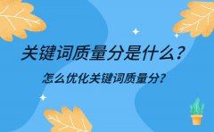 关键词质量分是什么？怎么优化关键词质量分？