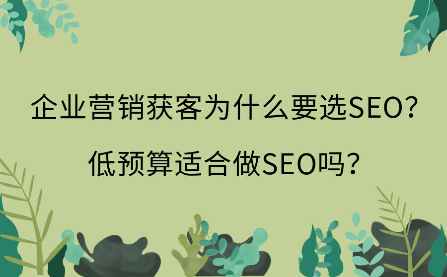 企业营销获客为什么要选SEO？低预算适合做SEO吗？