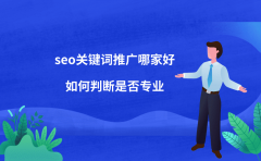 seo关键词推广哪家好？如何判断是否专业？