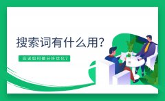 搜索词有什么用？应该如何做分析优化？