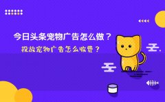 今日头条宠物广告怎么做？投放宠物广告怎么收费？