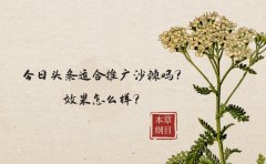 今日头条适合推广沙棘吗？效果怎么样？