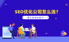 SEO优化公司怎么选？要注意哪些细节？