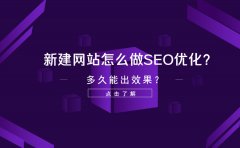 新建网站怎么做SEO优化？多久能出效果？