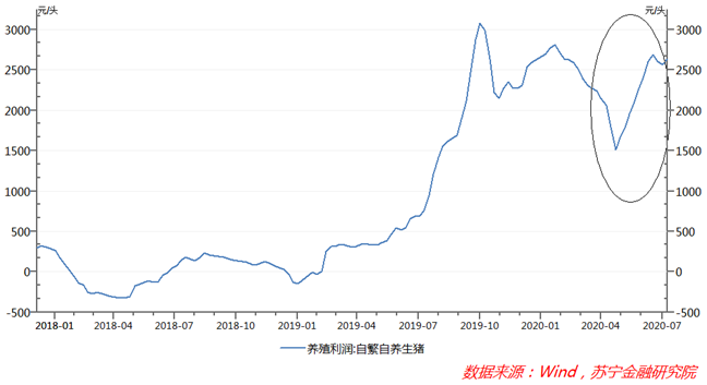 猪肉价格为啥老是涨个没完？