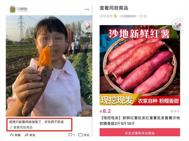 4个方向，10个案例，视频号变现指南