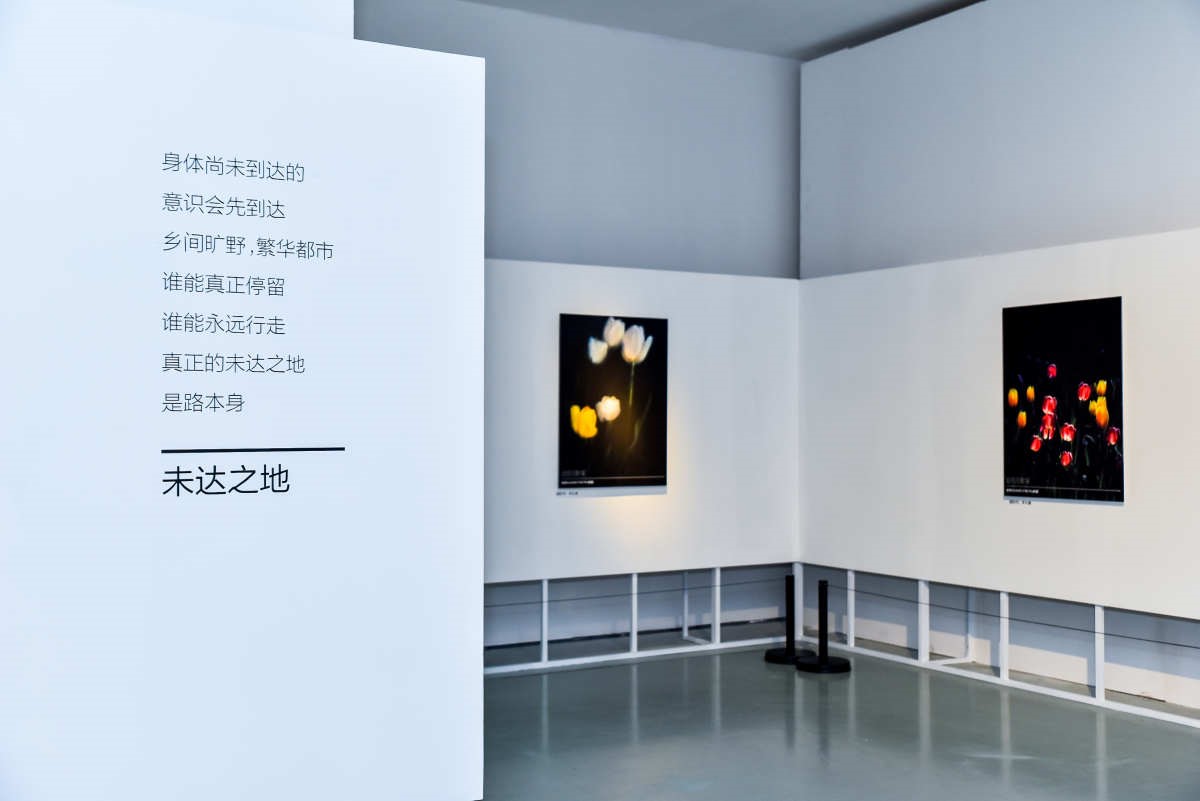 华为P40系列“超感知影像”艺术展亮相北京今日美术馆