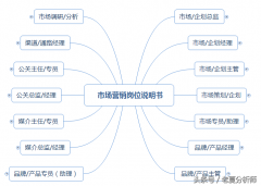 市场营销专员岗位职责（营销专员岗位的要求）