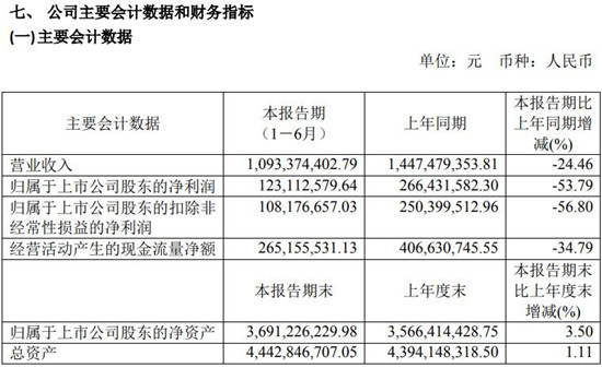 依顿电子上半年实现营收10.93亿元 同比减少24.46%