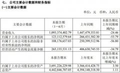 依顿电子上半年实现营收10.93亿元 同比减少24.46%