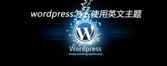 wordpress怎么使用英文主题