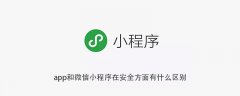 app和微信小程序在安全方面有什么区别