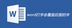 word打字会覆盖后面的字怎么办