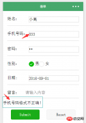 微信小程序)表单验证开发二