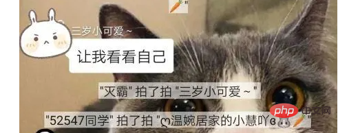 微信聊天中的拍了拍是什么意思？