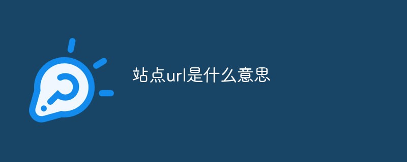 站点url是什么意思