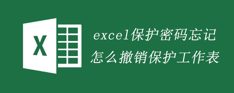 excel保护密码忘记怎么撤销保护工作表