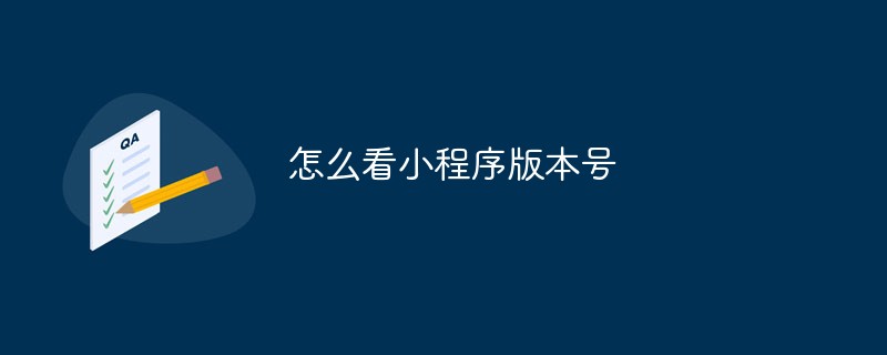 怎么看小程序版本号