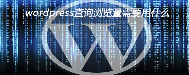 wordpress查询浏览量需要用什么