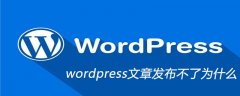 wordpress文章发布不了为什么