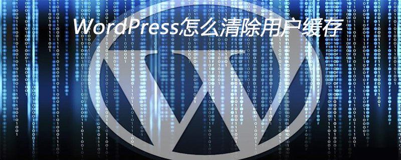 WordPress怎么清除用户缓存