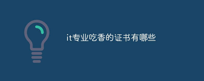 it专业吃香的证书有哪些