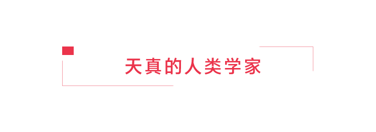 码字追凶