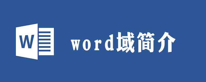 在word中何为域