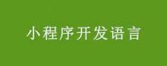 小程序开发可以用什么语言？