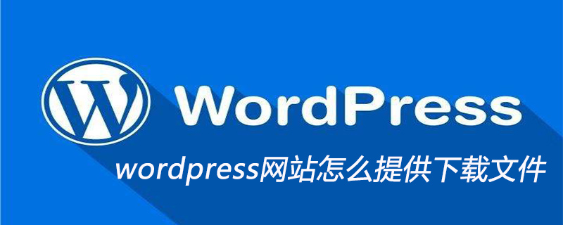 wordpress网站怎么提供下载文件