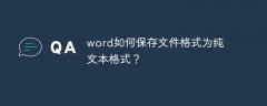 word如何保存文件格式为纯文本格式？